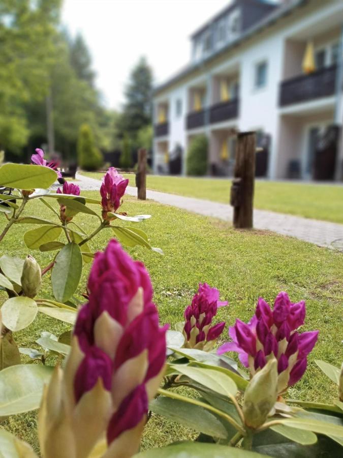 Gaestehaus Falkenhof Westensee Exteriör bild
